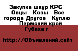 Закупка шкур КРС , Овцы , Козы - Все города Другое » Куплю   . Пермский край,Губаха г.